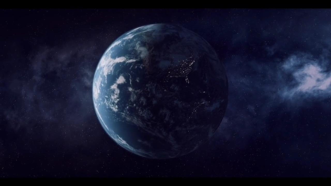 两只白鹳的爱情故事:跨越半个地球,只为和爱人相见