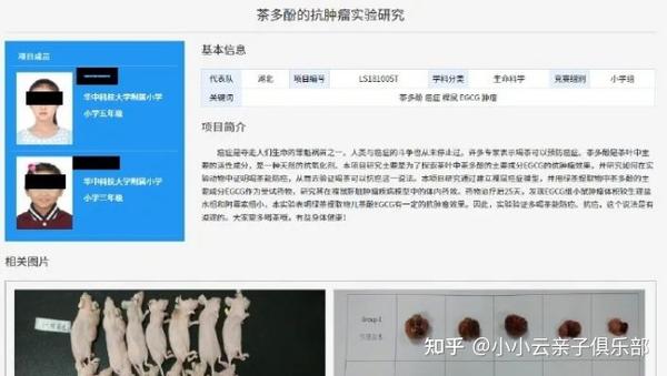 不作弊 不拼爹 中学生如何在国际竞赛中拿奖 知乎
