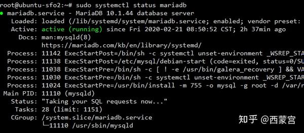 how-to-install-and-start-using-mariadb-on-ubuntu-20-04-step-by-step