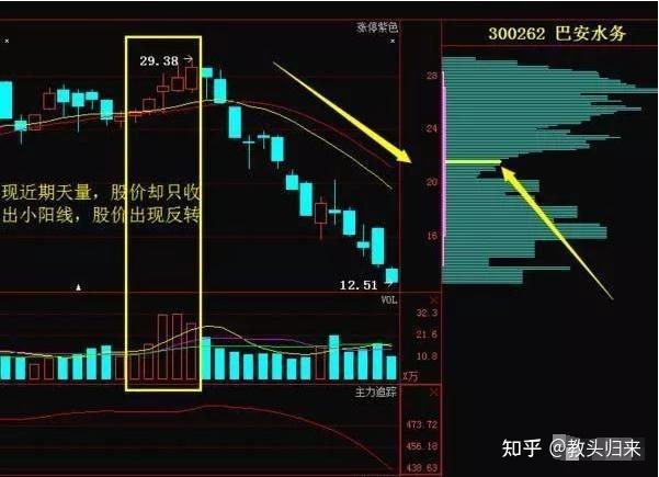 最讓主力感到害怕的指標成交量揭秘莊家操盤手把手教你看清主力意圖