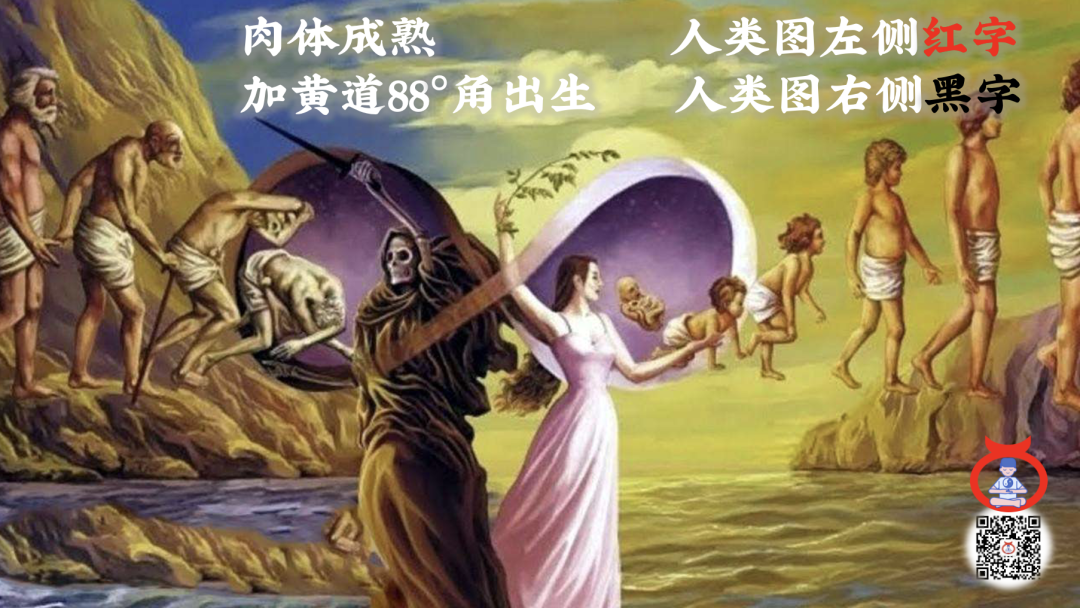 为什么人类图只有12个人生角色