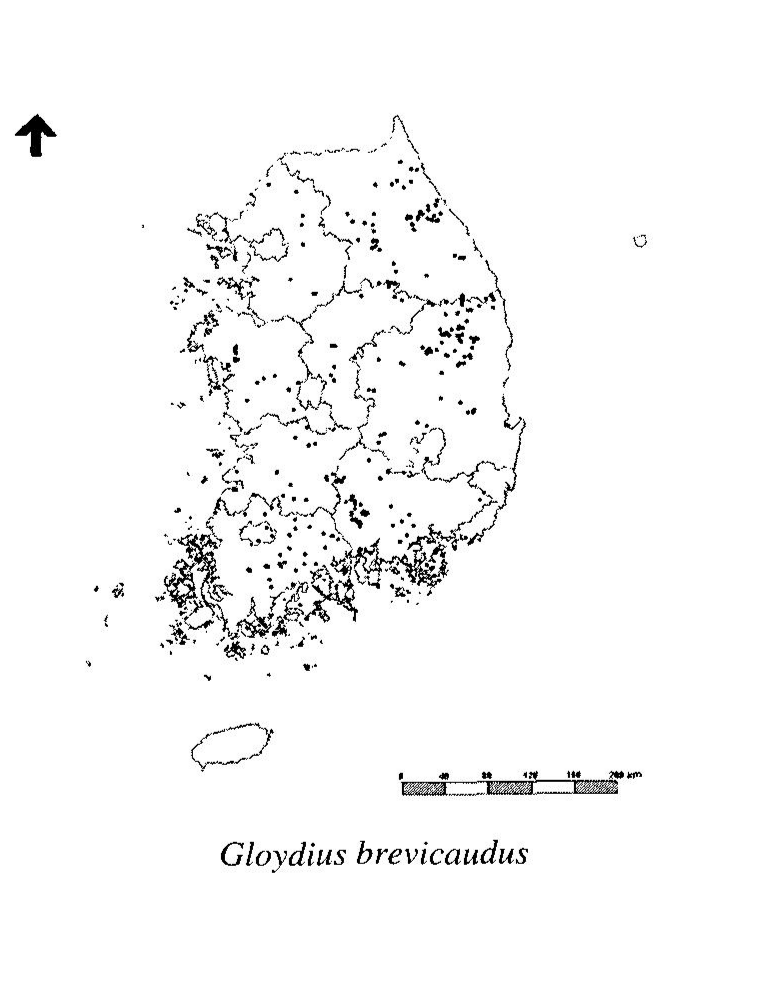 朝鲜半岛蛇类略记