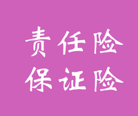 史带公共责任险