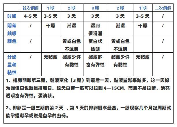 1观察宫颈粘液宫颈分泌变化在雌性激素作用下显周期变化