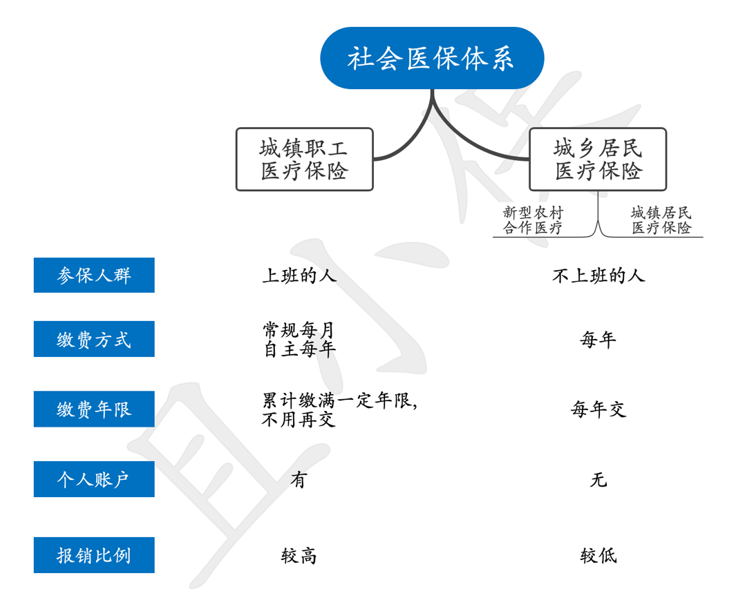 上期专栏中,我们分享了社会保险体系概述及养老保险,本期我们一起来