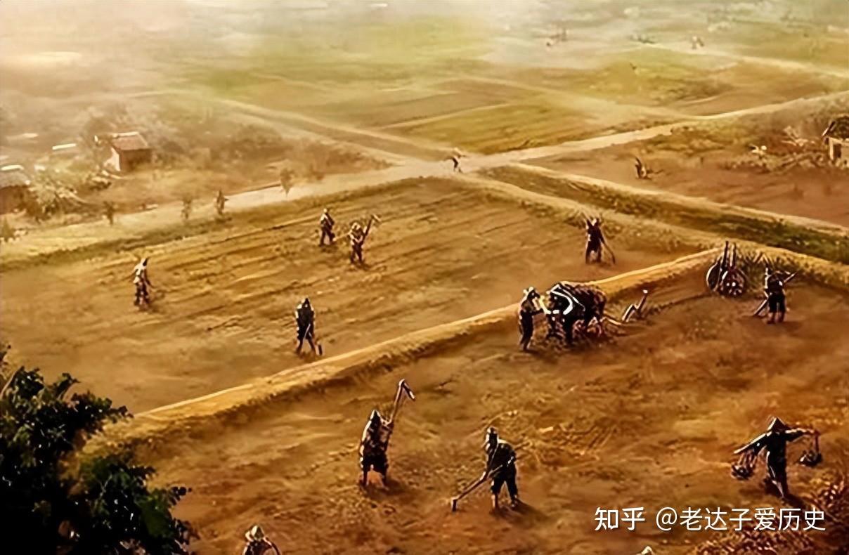 七根心简电视剧全集在线观看