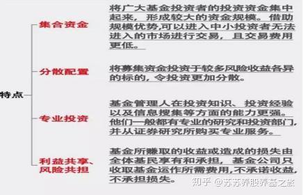 什么是基金基金的特点 v2-97f8551a5a76eb444f271bd129a81183_r.jpg