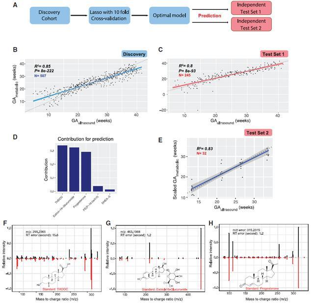 cell深度解读孕妇代谢组学全解读