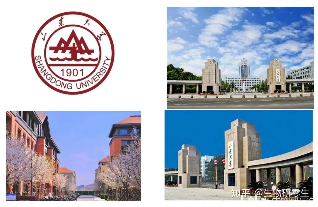 25考研考情丨山东大学四个学院生物学生物与医药考研考情分析丨338