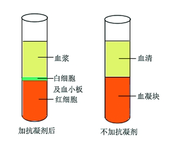 阳普医疗 | 血清 or 血浆该如何区分? - 知乎