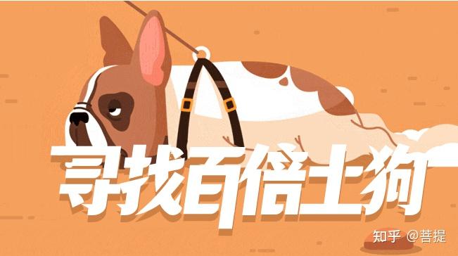 如何抓住百倍币? - 知乎