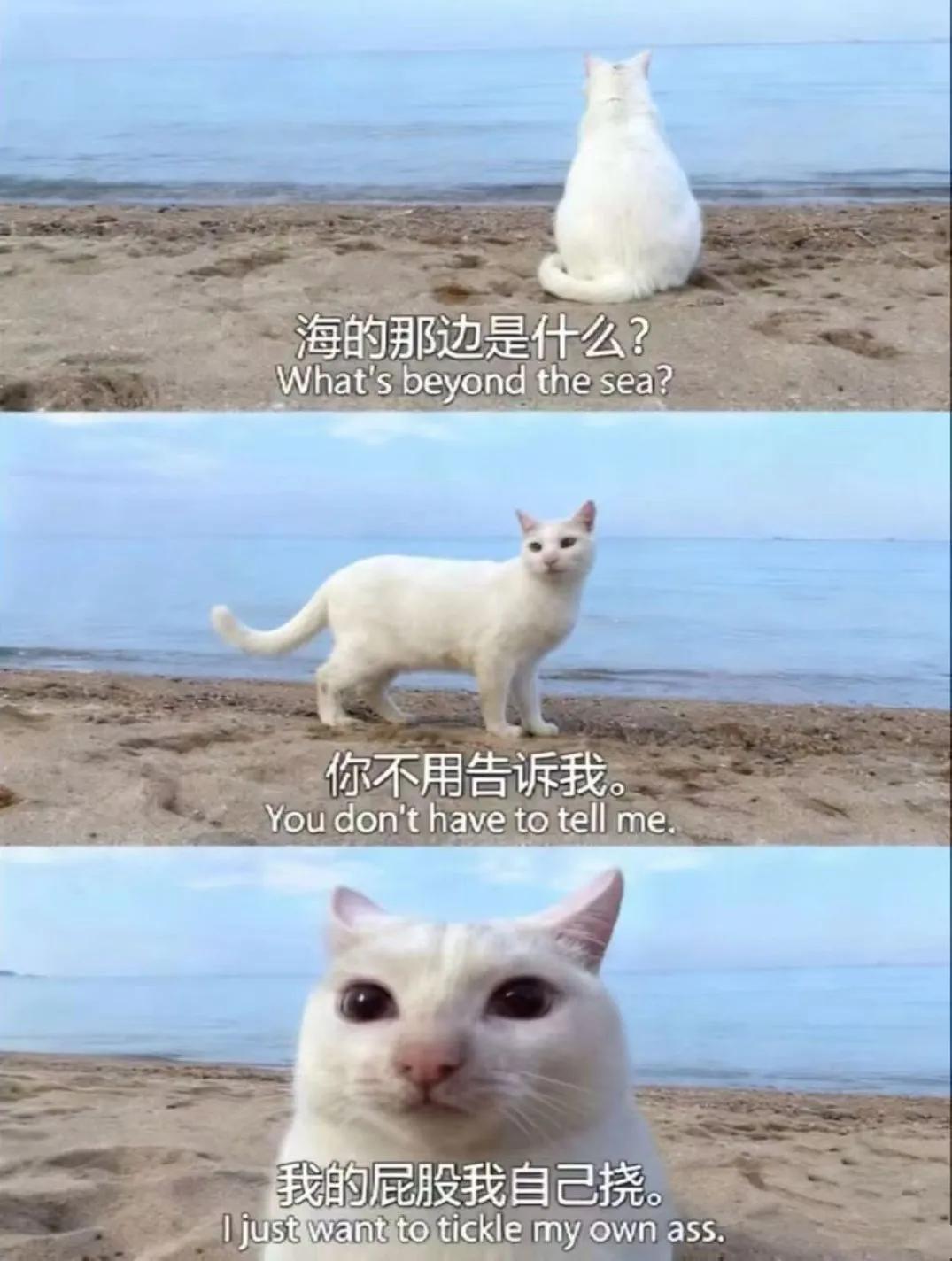 海的那边是什么，你不用告诉我 知乎 