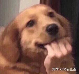 大宋宫词 豆瓣4 1 真有这么差 知乎