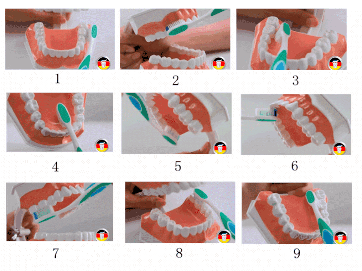 口腔护理的顺序图解图片