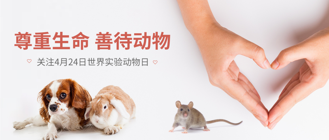 世界实验动物日海报图片