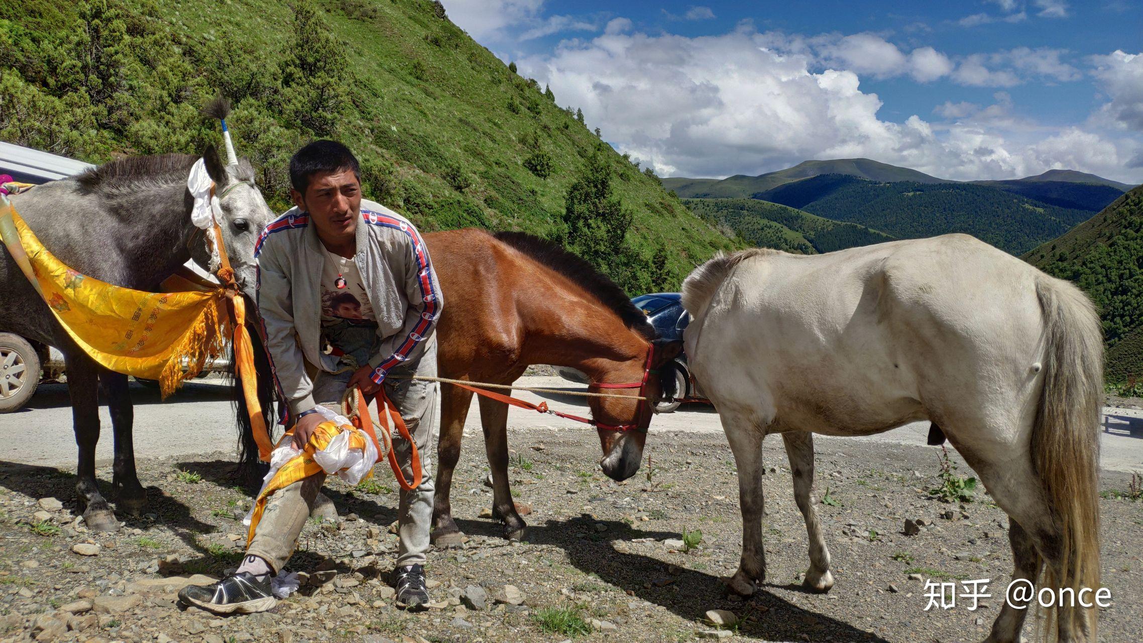 如何看待康巴汉子丁真为家乡四川理塘拍摄的旅游宣传片