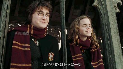 potter知乎上最不專業的哈利波特答主 67關注 《哈利被格林德沃收養