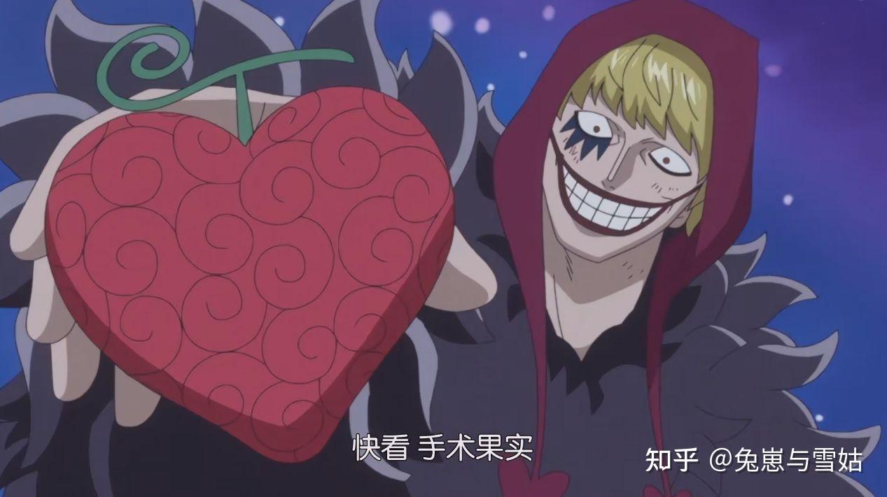 世界政府知道罗的果实是手术果实吗