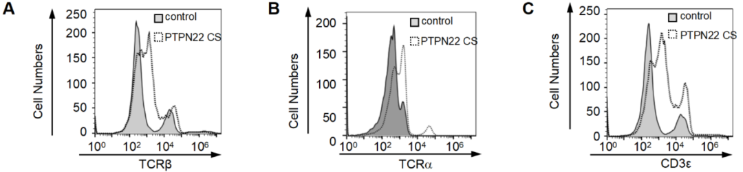 ptpn22 調控胸腺發育該課題組首次構建了ptpn22 cs小鼠模型.