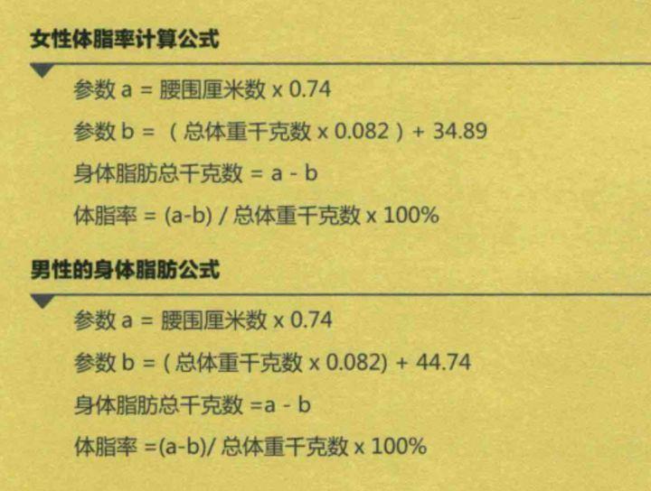 如何降低体脂率图片