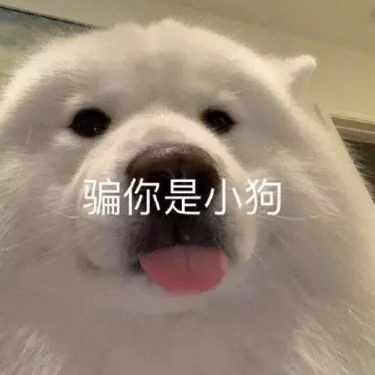 付付得证