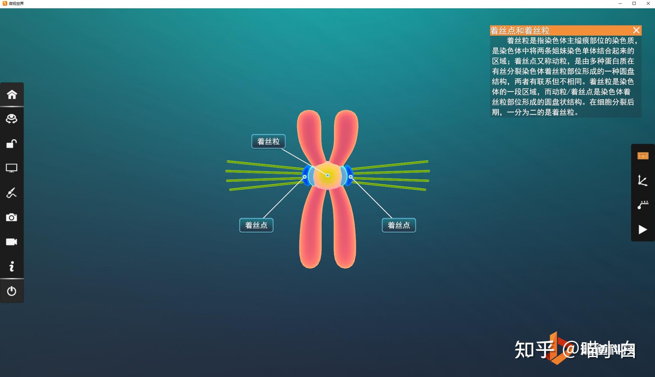 【高中生物新教材】着丝点与着丝粒是什么关系? - 知乎
