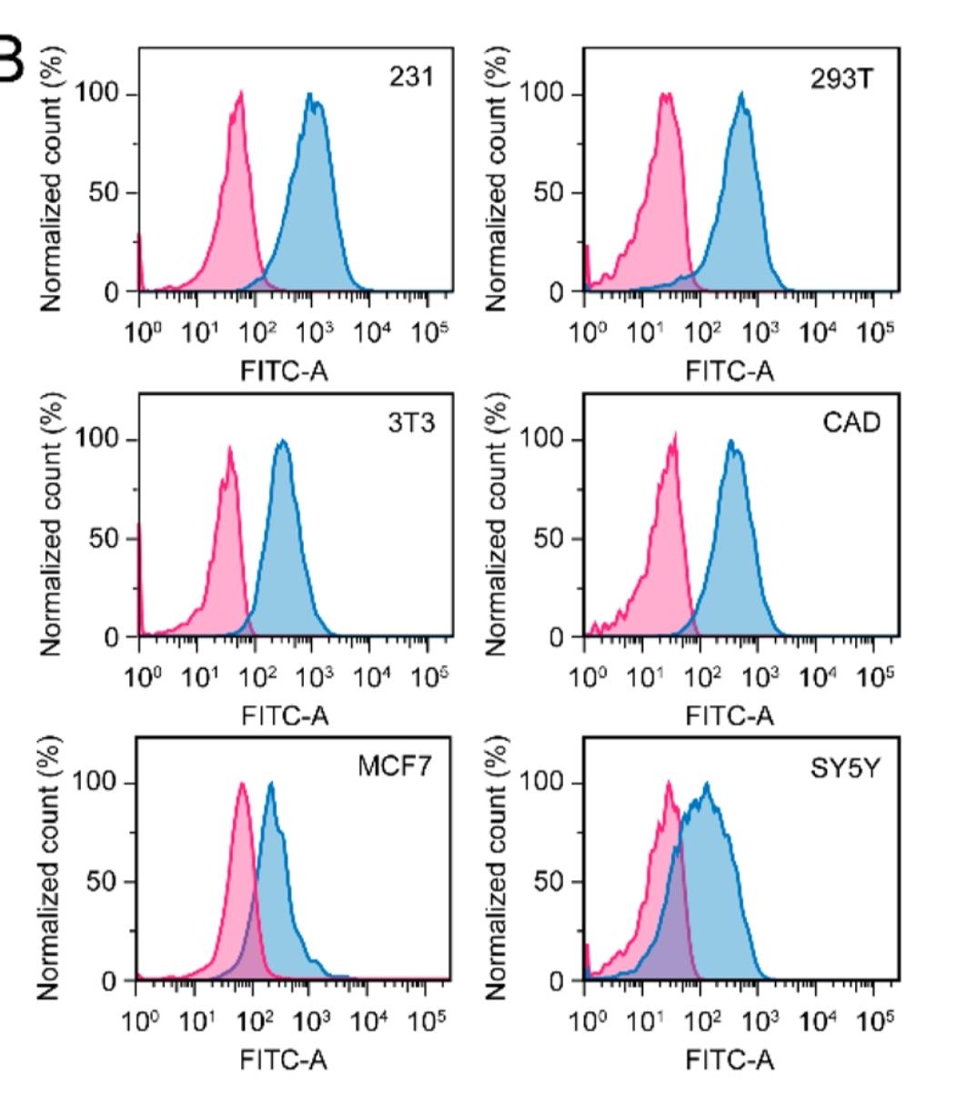 带您认识流式细胞术中的各种图