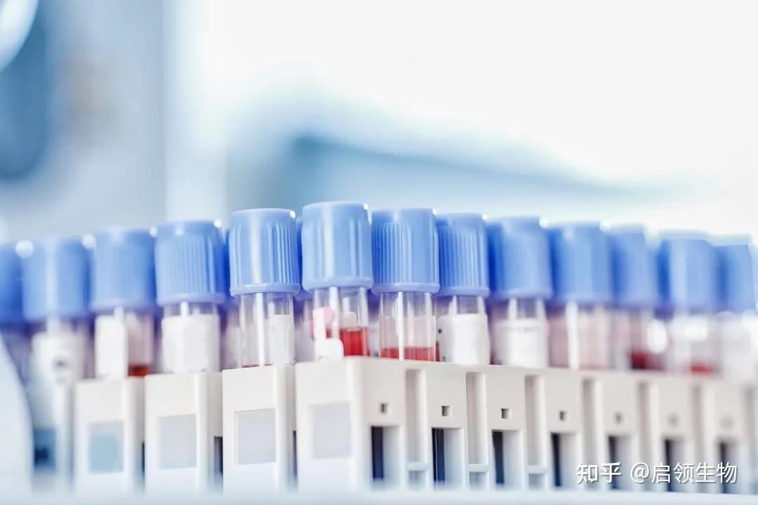 动物实验之实验动物血液采集方法 - 知乎