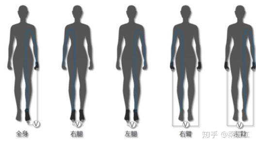 体脂率越低越瘦吗 体脂率低好还是高好 男霸网