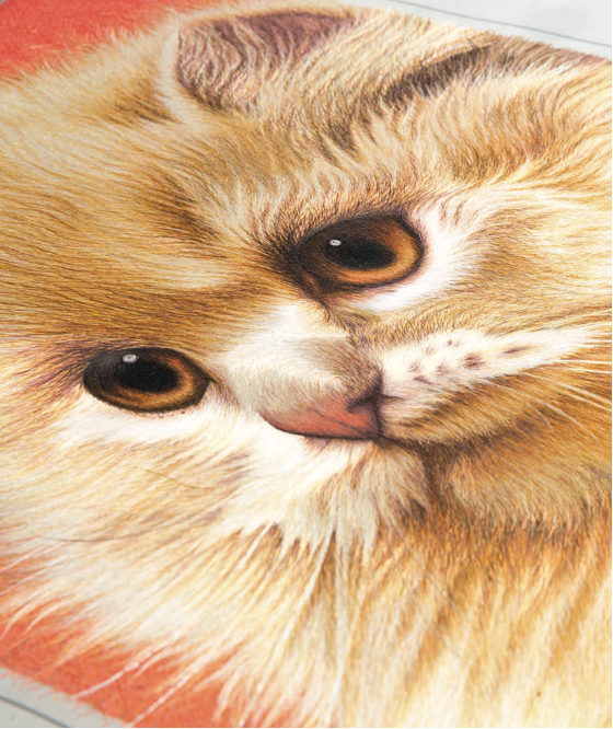 一只来自中国的“猫”，打动了美国总统和英国女王- 知乎