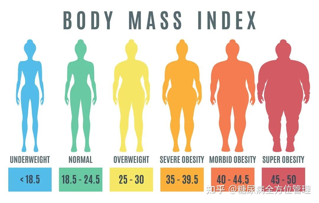 腰围按中国标准来对照,bmi指数在18.5~23.9之间为正常体重,24.0~27.