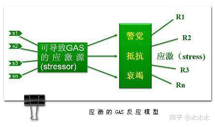 什么是心理应激反应?出现心理应激反应的人会怎么样? - 知乎