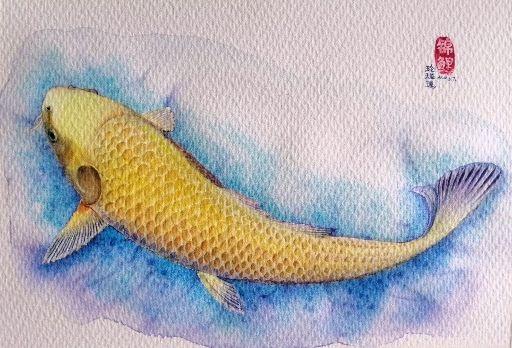 vlgo:【手绘水彩】银鳞丹顶落叶时雨锦鲤 (原创)