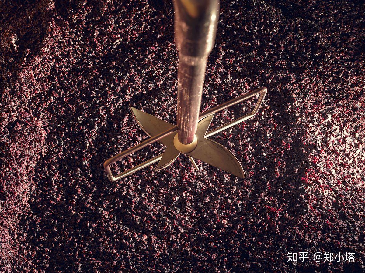 自酿野生山葡萄酒怎么做_自酿野生山葡萄酒的做法_豆果美食