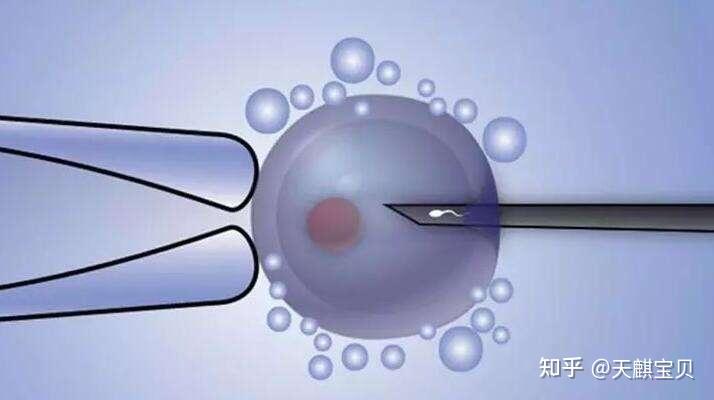 2025年最新正规供卵机构查询推荐(今日分享中国正规的供卵机构)