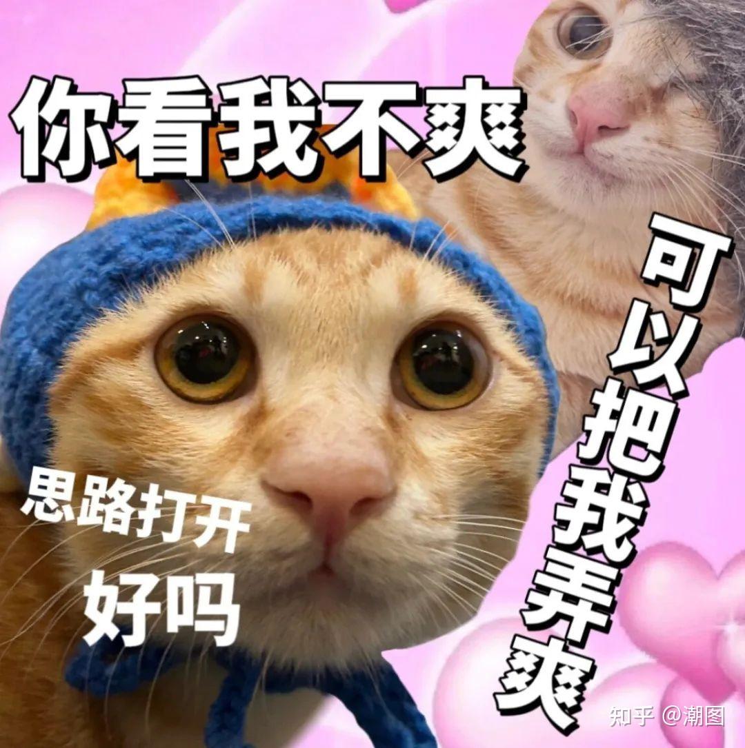 表情丨精神状态发癫的表情包丨1.23 - 知乎