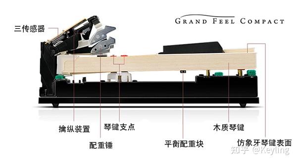 钢琴内部零件名称图片