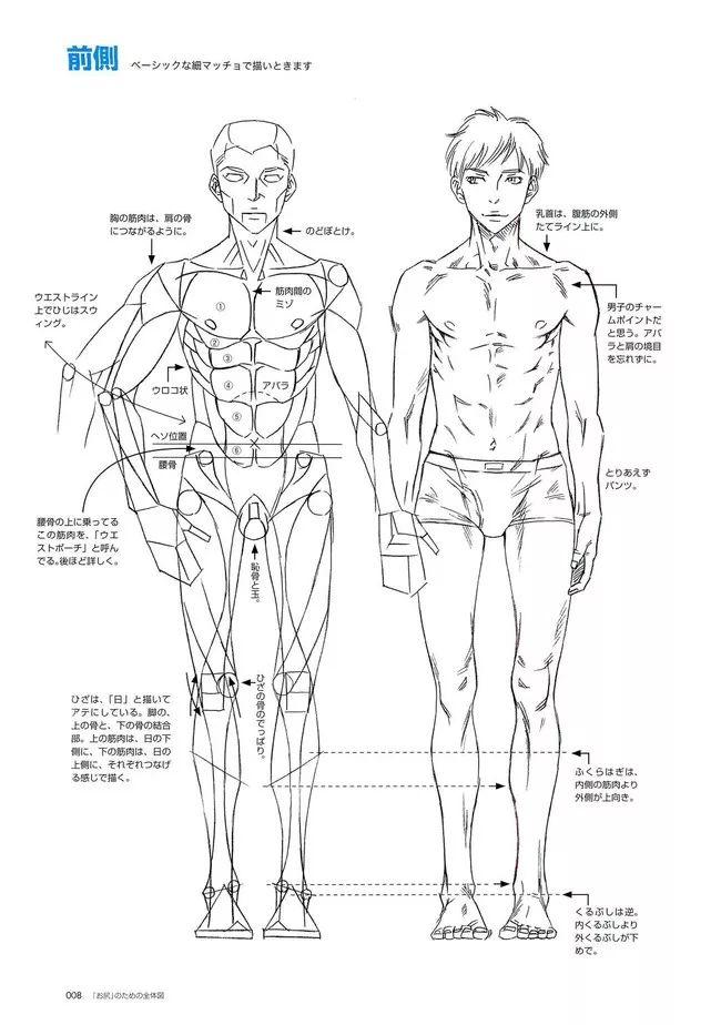 男性人体的画法教程,细节真的很重要!