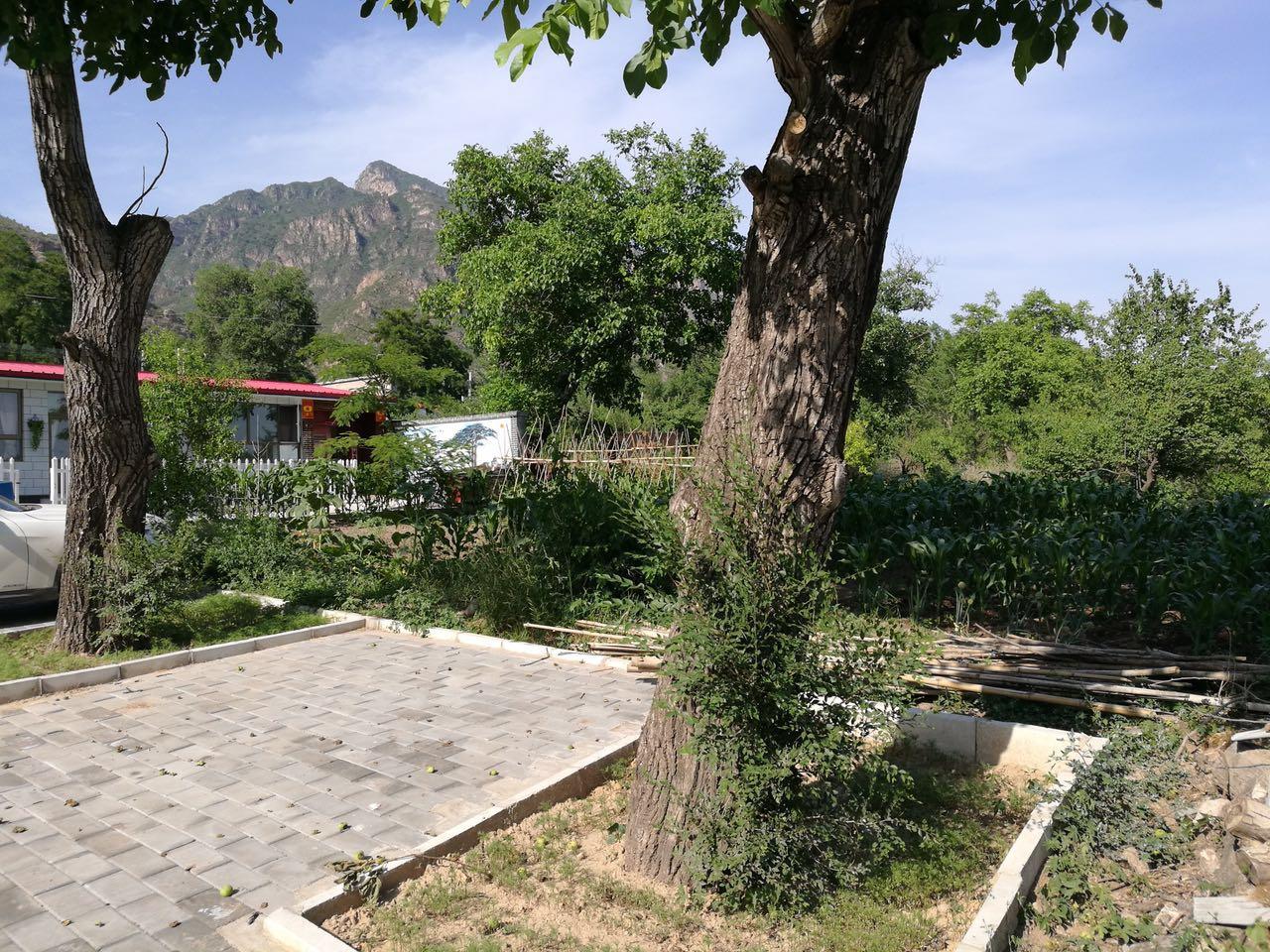 北京周边玉渡山自驾攻略|延庆民宿倾力推荐 - 知