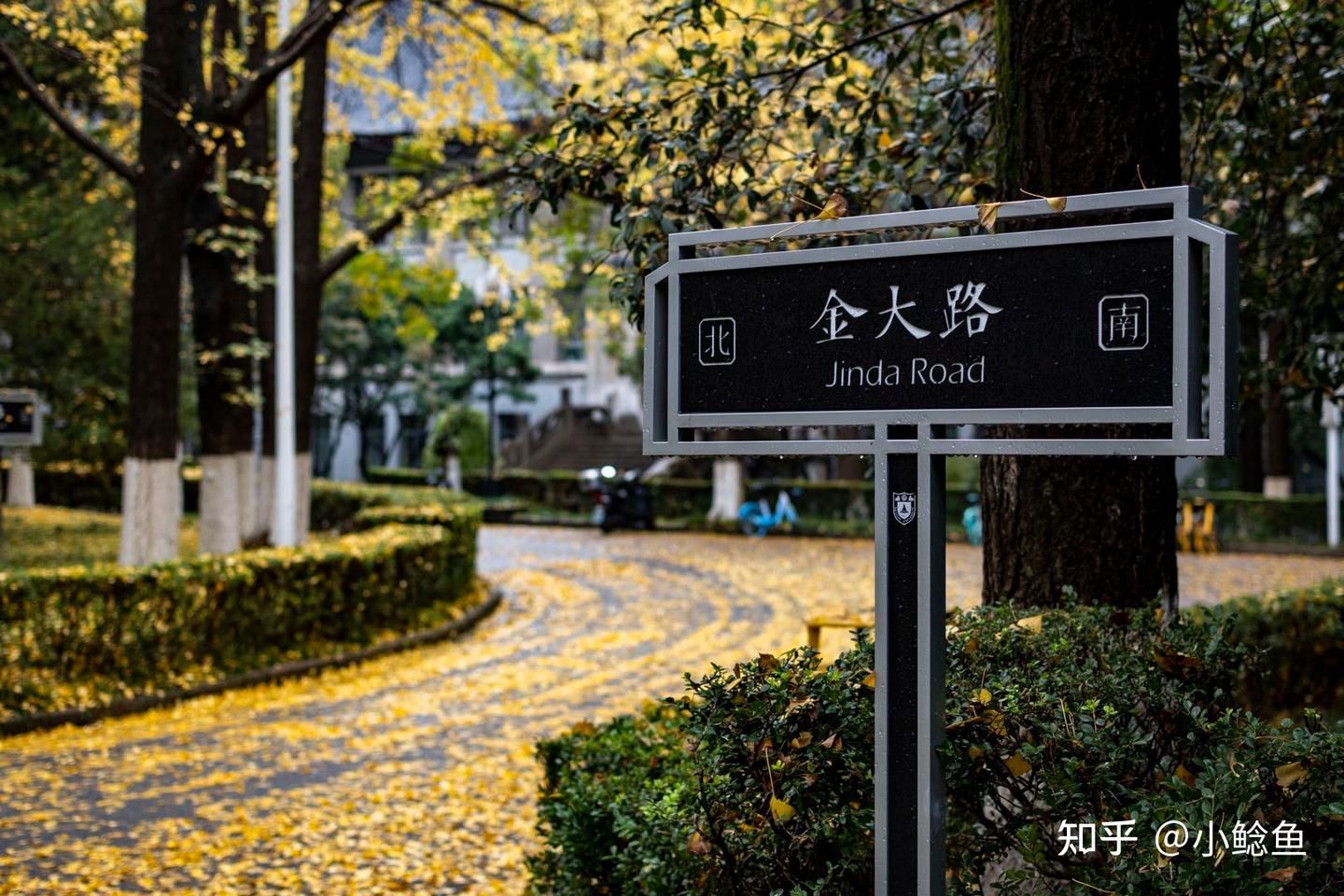 学习“狂飙”中安欣的死磕精神 - 知乎