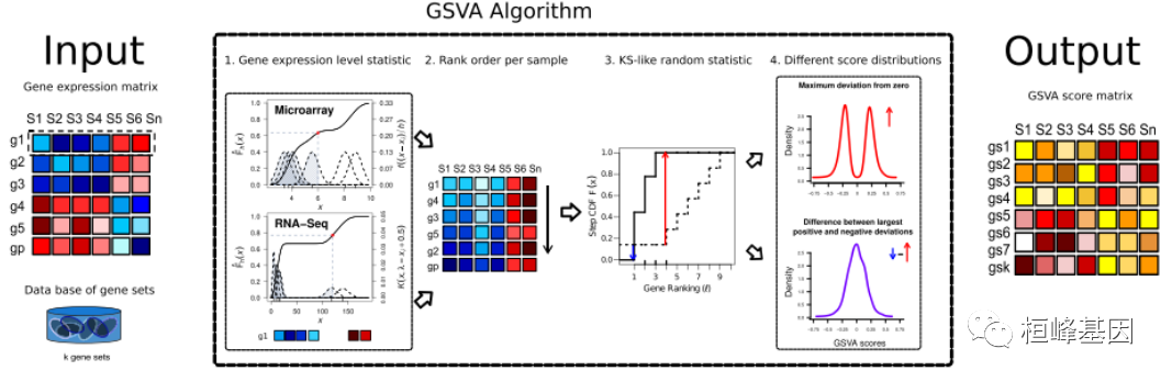RNA 18. SCI 文章中基因集变异分析 GSVA - 知乎