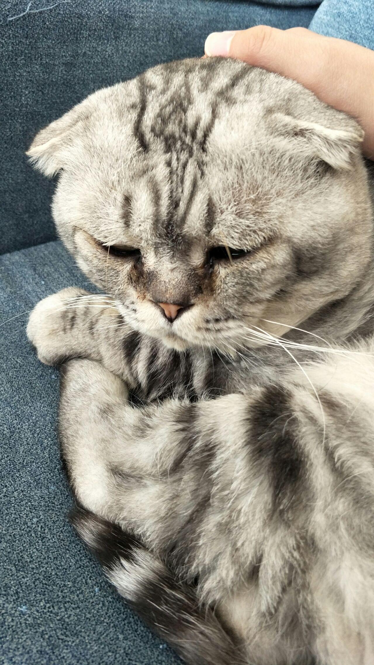 有哪些温柔的歌,适合哄人睡觉,不太吵的?