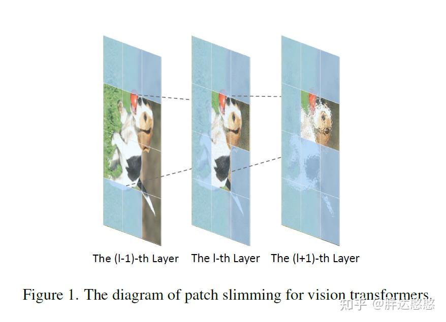 [ViT轻量化论文1]Patch Slimming for Efficient Vision Transformers - 知乎