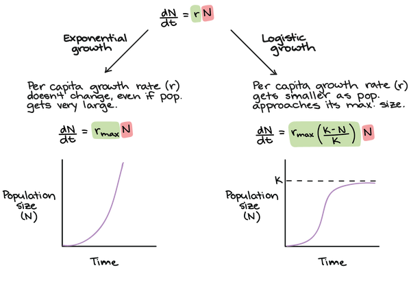 Growth Rate Biology