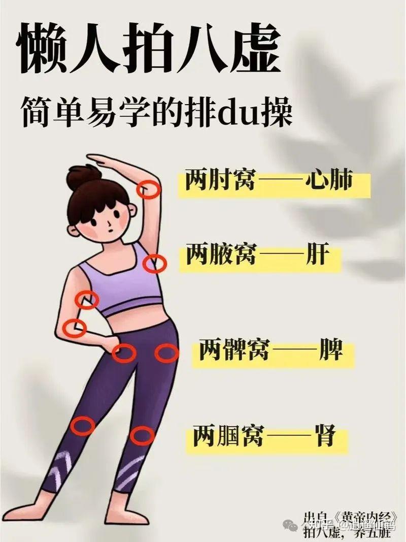 一个最适合懒人的的养生功法---拍八虚 - 知乎
