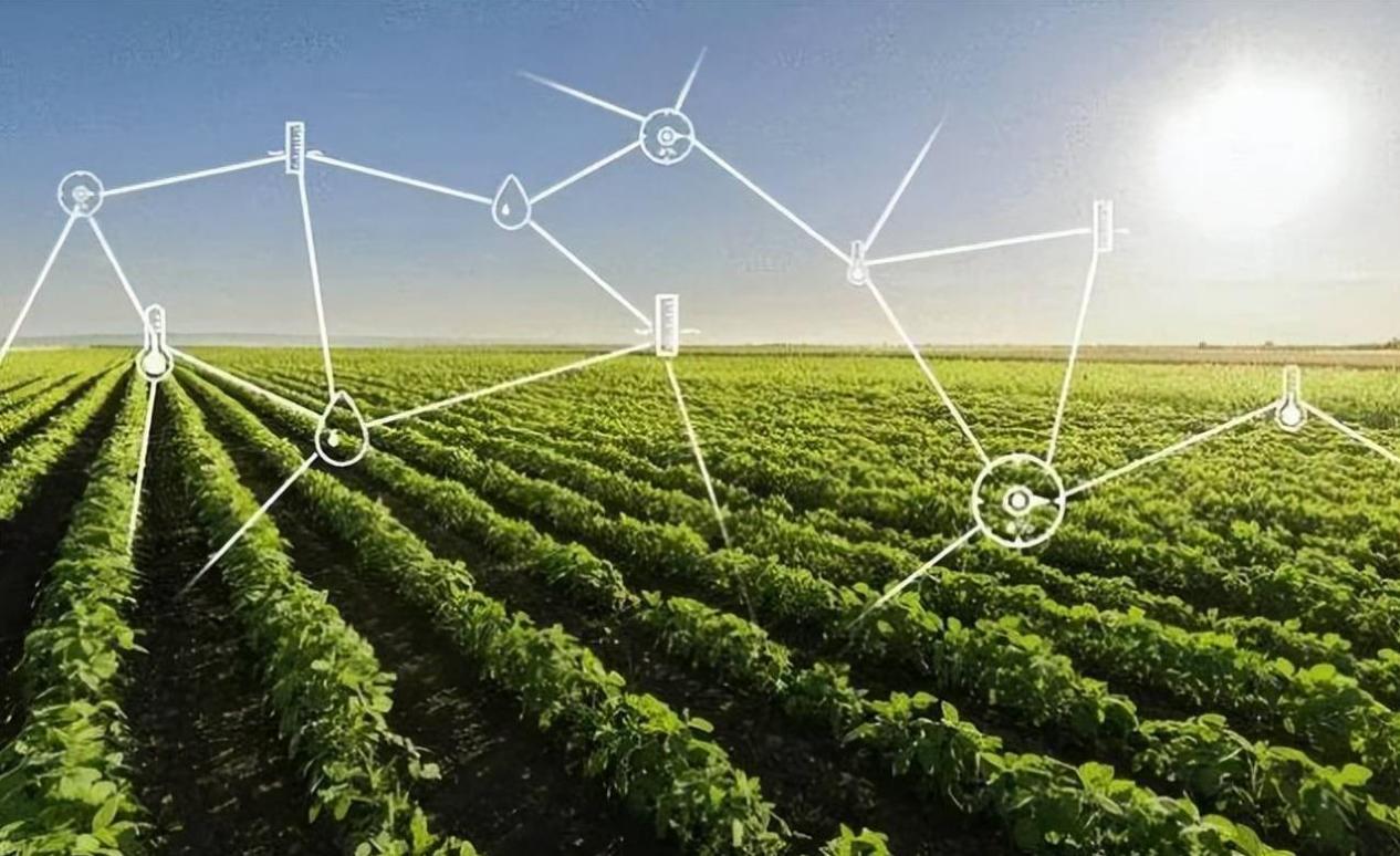 这是一张展示智能农业技术的图片，农田里有作物，上方有虚拟的连接点和线条，象征数据和科技在现代农业中的应用。