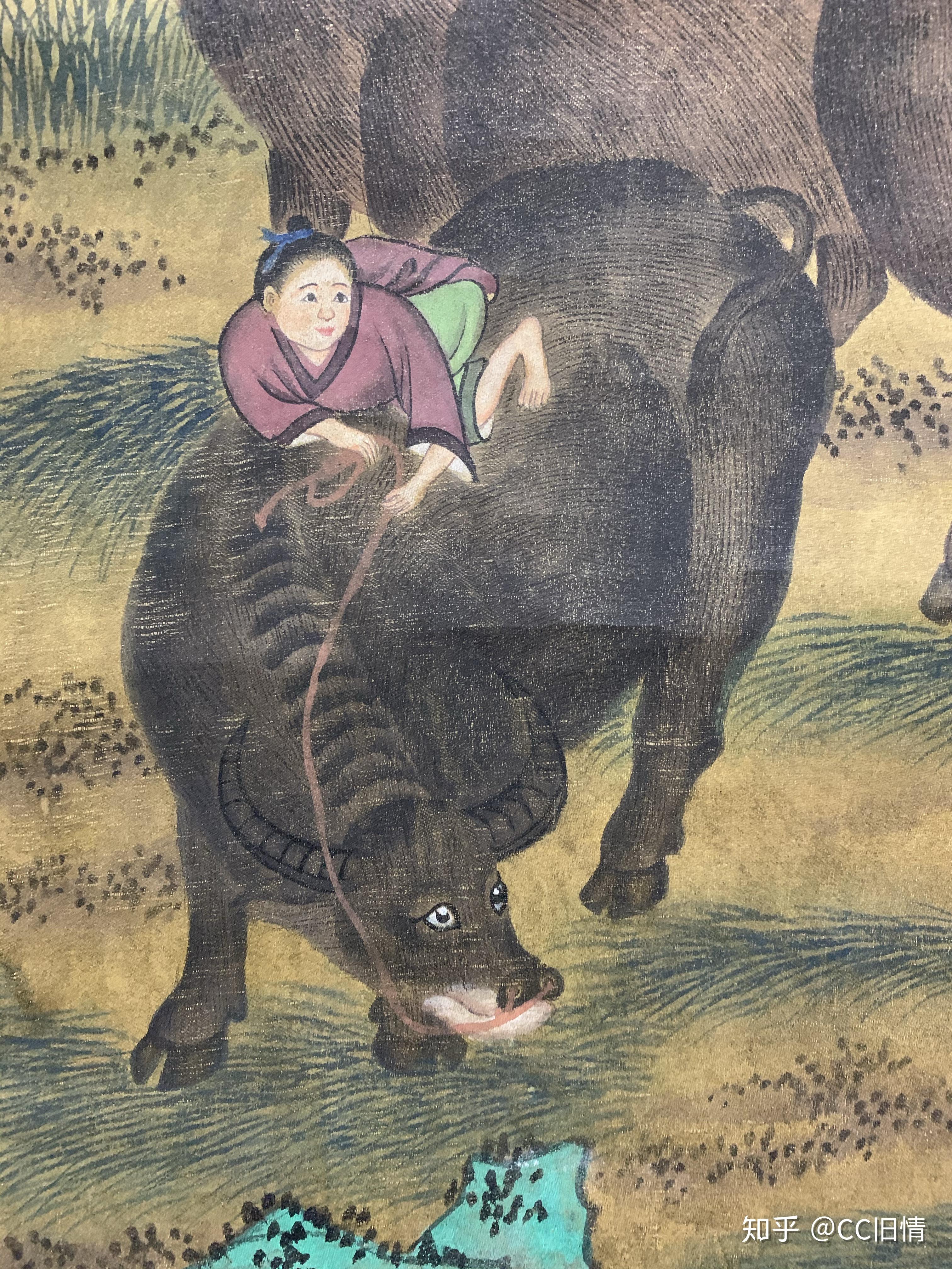 杨晋 牧牛图 - 知乎