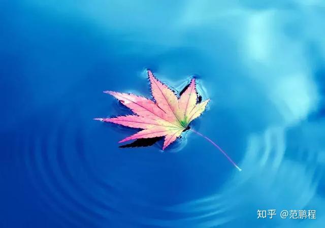 自己创作现代诗歌大全 v2-99e461f3eb8a2fe25492ee93fda94f8f_r.jpg