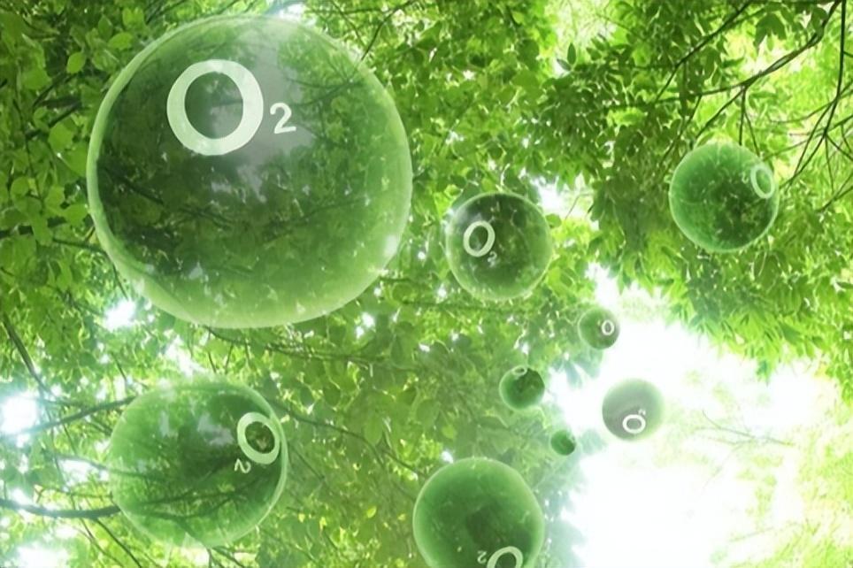 氧气与生命健康的奥秘 - 知乎