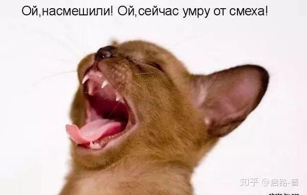 看俄语表情包,学习俄语